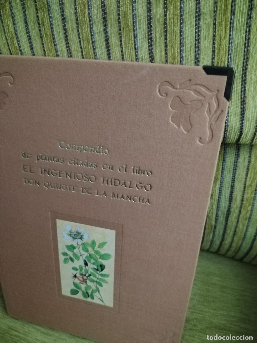Libros de segunda mano: COMPENDIO DE PLANTAS CITADAS EN EL LIBRO EL INGENIOSO HIDALGO DON QUIJOTE DE LA MANCHA - Foto 17