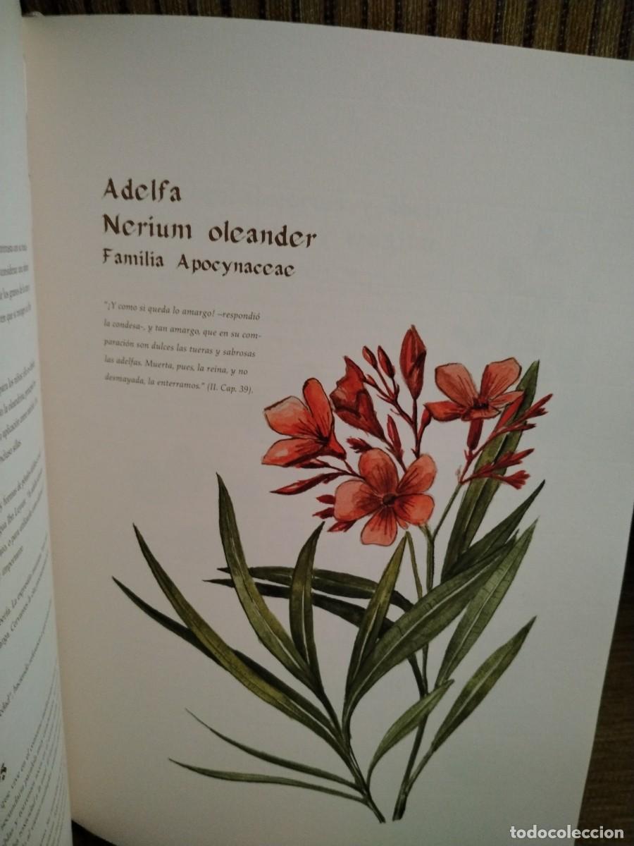 Libros de segunda mano: COMPENDIO DE PLANTAS CITADAS EN EL LIBRO EL INGENIOSO HIDALGO DON QUIJOTE DE LA MANCHA - Foto 18