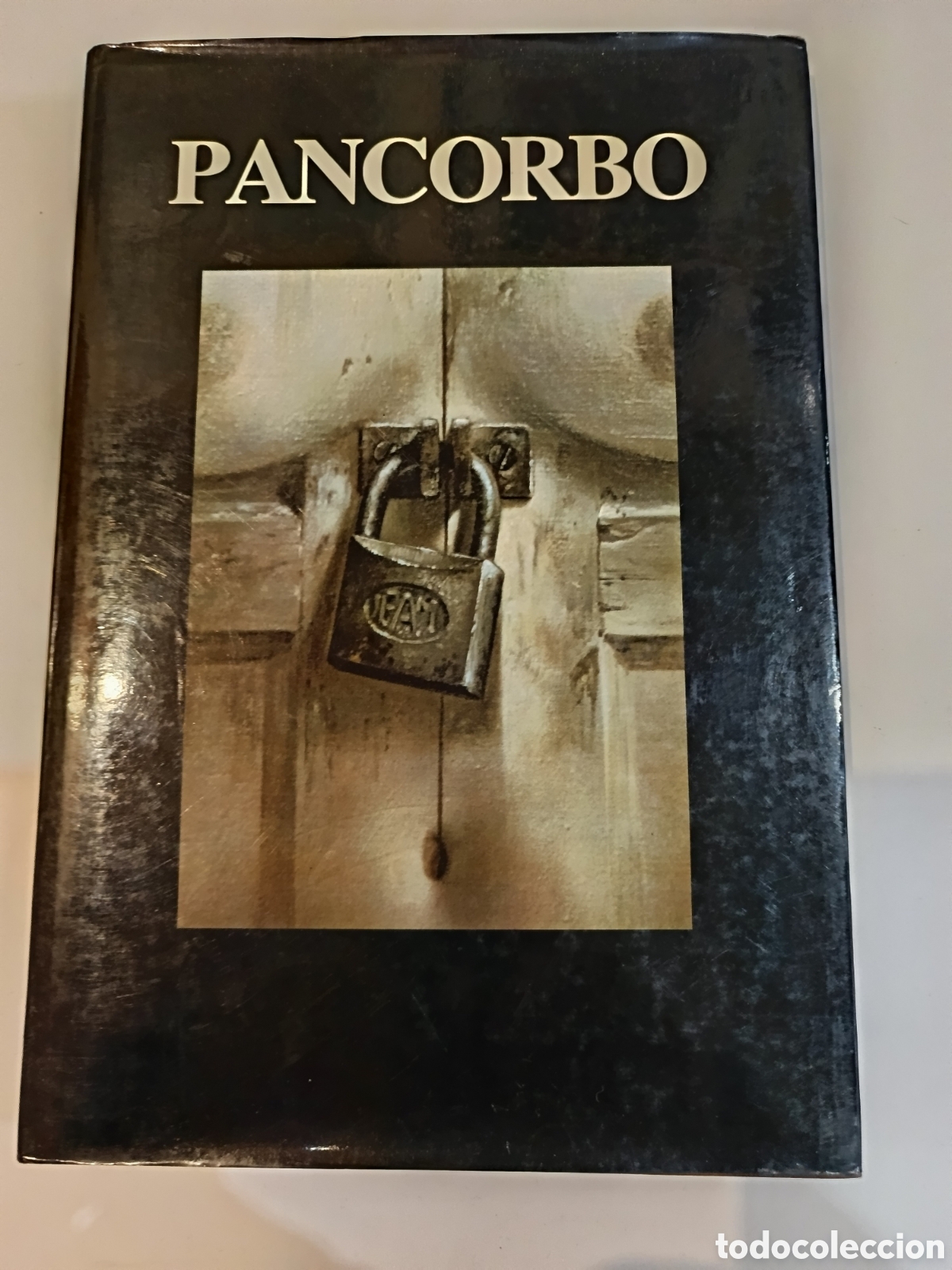 Libros de segunda mano: ALBERTO PANCORBO.1986. - Foto 1