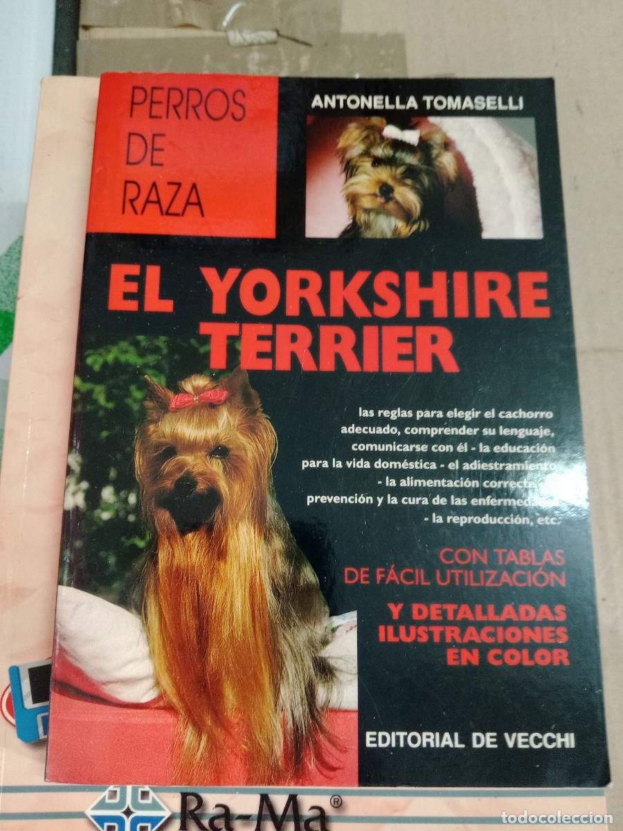 Libros de segunda mano: TOP-03 LIBRO EL YORKSHIRE TERRIER Antonella Tomaselli Editorial De Vecchi - Foto 1
