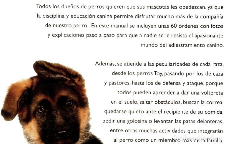 Libros de segunda mano: �F2387 - TRUCOS PARA ADIESTRAR A TU PERRO. C.M. COMPS. - Foto 2