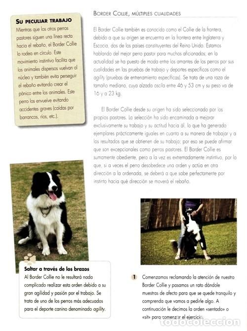 Libros de segunda mano: �F2387 - TRUCOS PARA ADIESTRAR A TU PERRO. C.M. COMPS. - Foto 3