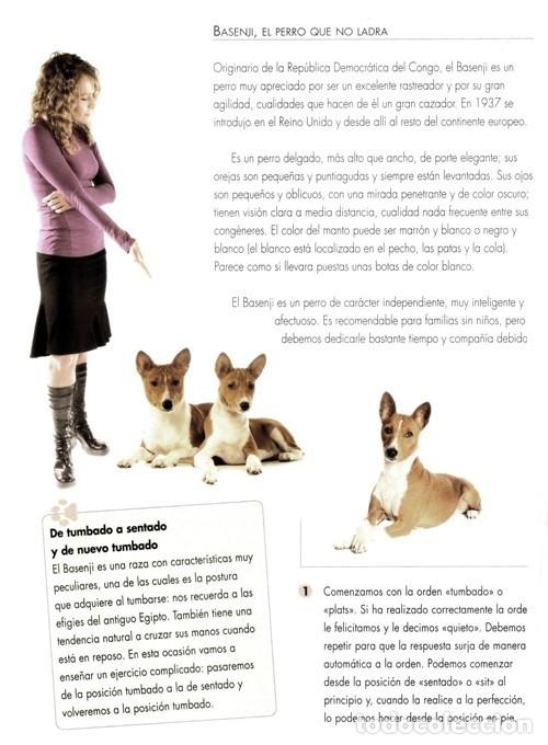 Libros de segunda mano: �F2387 - TRUCOS PARA ADIESTRAR A TU PERRO. C.M. COMPS. - Foto 4