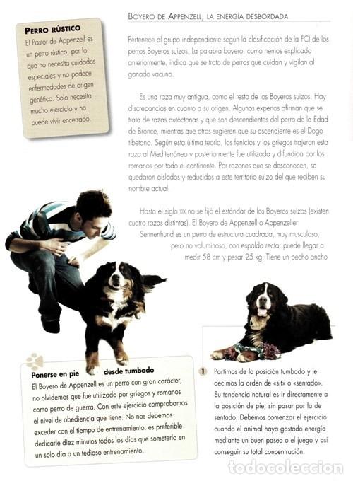 Libros de segunda mano: �F2387 - TRUCOS PARA ADIESTRAR A TU PERRO. C.M. COMPS. - Foto 5