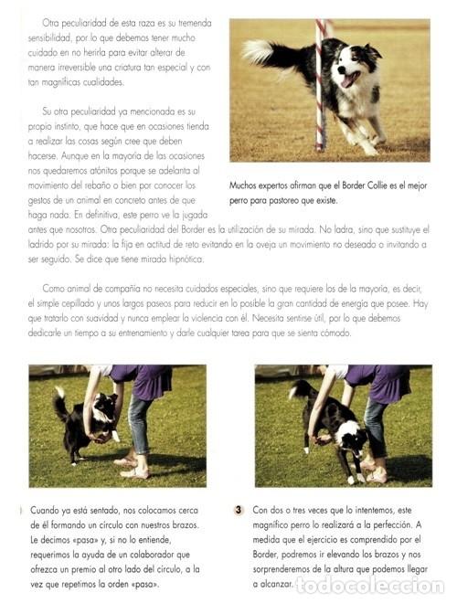 Libros de segunda mano: �F2387 - TRUCOS PARA ADIESTRAR A TU PERRO. C.M. COMPS. - Foto 6