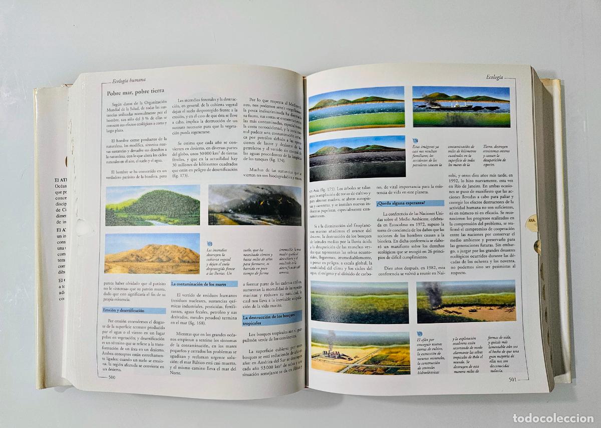 Libros de segunda mano: Atlas visual de las ciencias (con CD) Oceano Editorial, 1999 - Foto 4