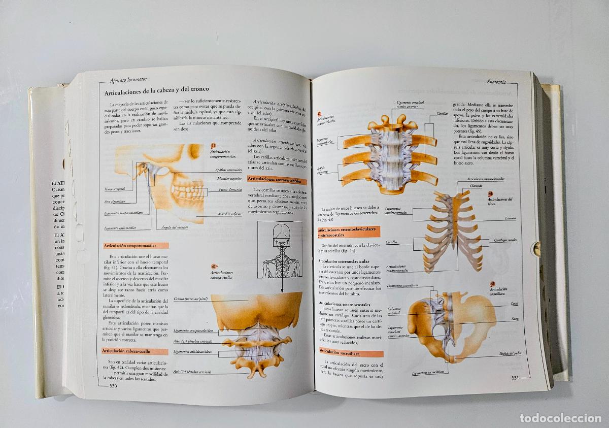 Libros de segunda mano: Atlas visual de las ciencias (con CD) Oceano Editorial, 1999 - Foto 5