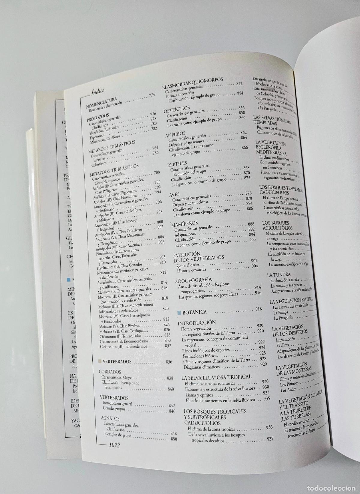 Libros de segunda mano: Atlas visual de las ciencias (con CD) Oceano Editorial, 1999 - Foto 9