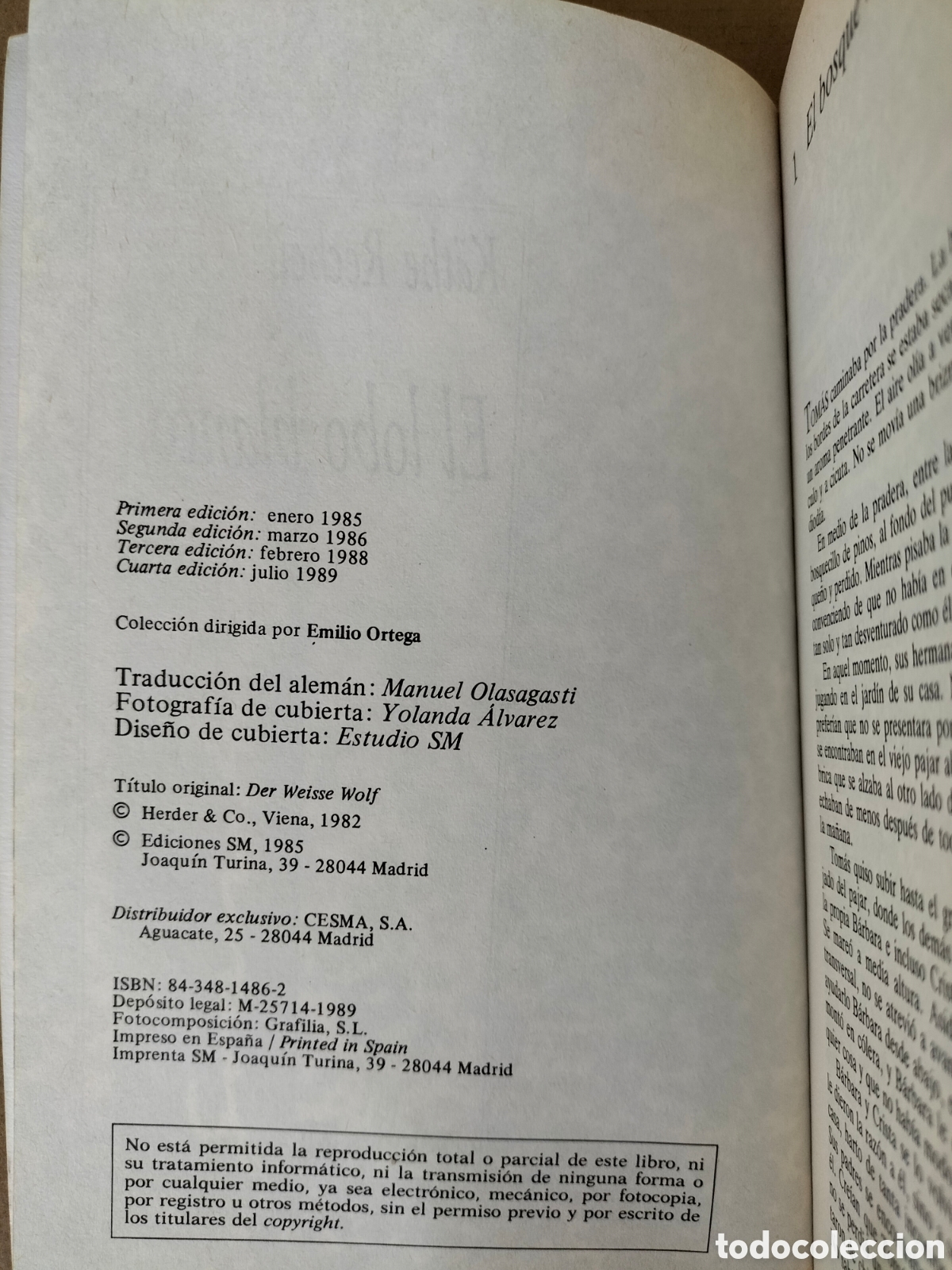 Libros de segunda mano: El lobo blanco. Kathe Recheis. Gran angular 44. Ediciones SM, 1989. Libro - Foto 3