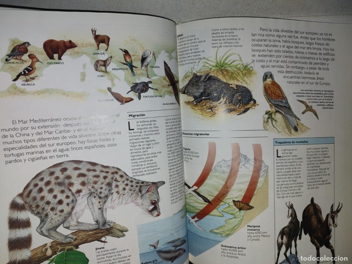 Libros de segunda mano: 122- ATLAS DE LOS ANIMALES - EDITORIAL PATRIA 1992 - Foto 8