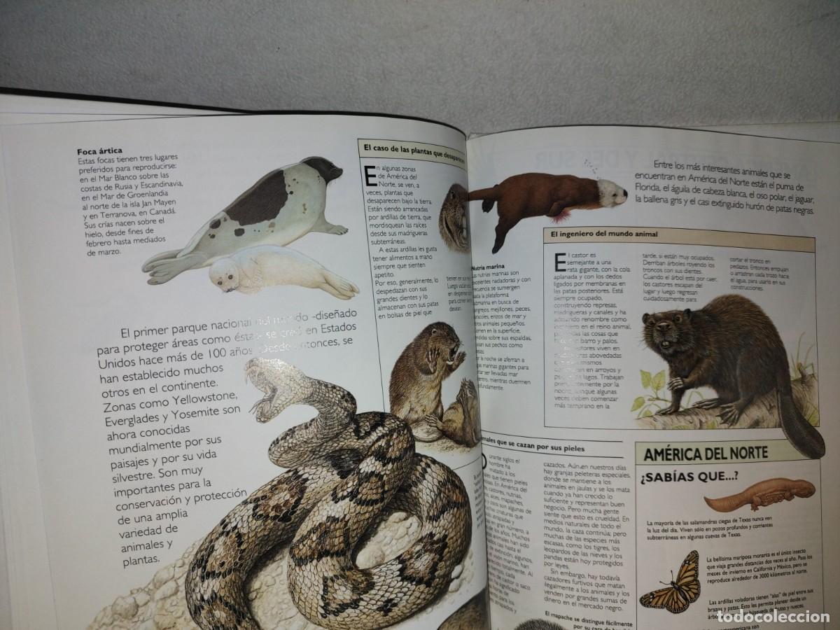Libros de segunda mano: 122- ATLAS DE LOS ANIMALES - EDITORIAL PATRIA 1992 - Foto 9