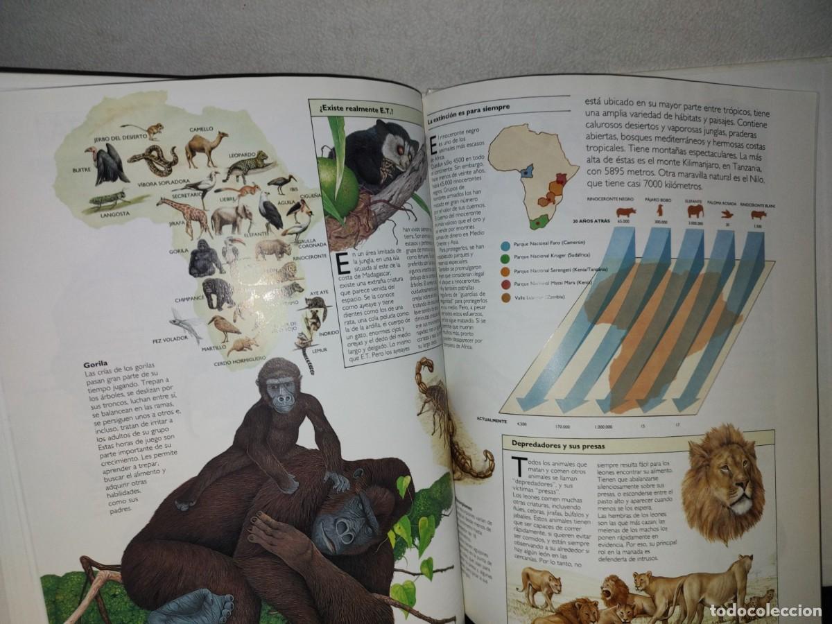 Libros de segunda mano: 122- ATLAS DE LOS ANIMALES - EDITORIAL PATRIA 1992 - Foto 10