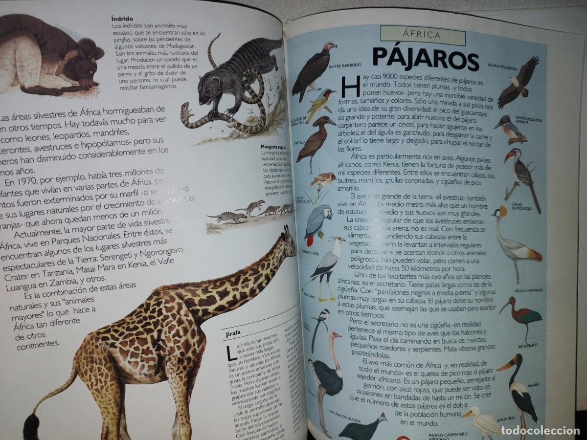 Libros de segunda mano: 122- ATLAS DE LOS ANIMALES - EDITORIAL PATRIA 1992 - Foto 11