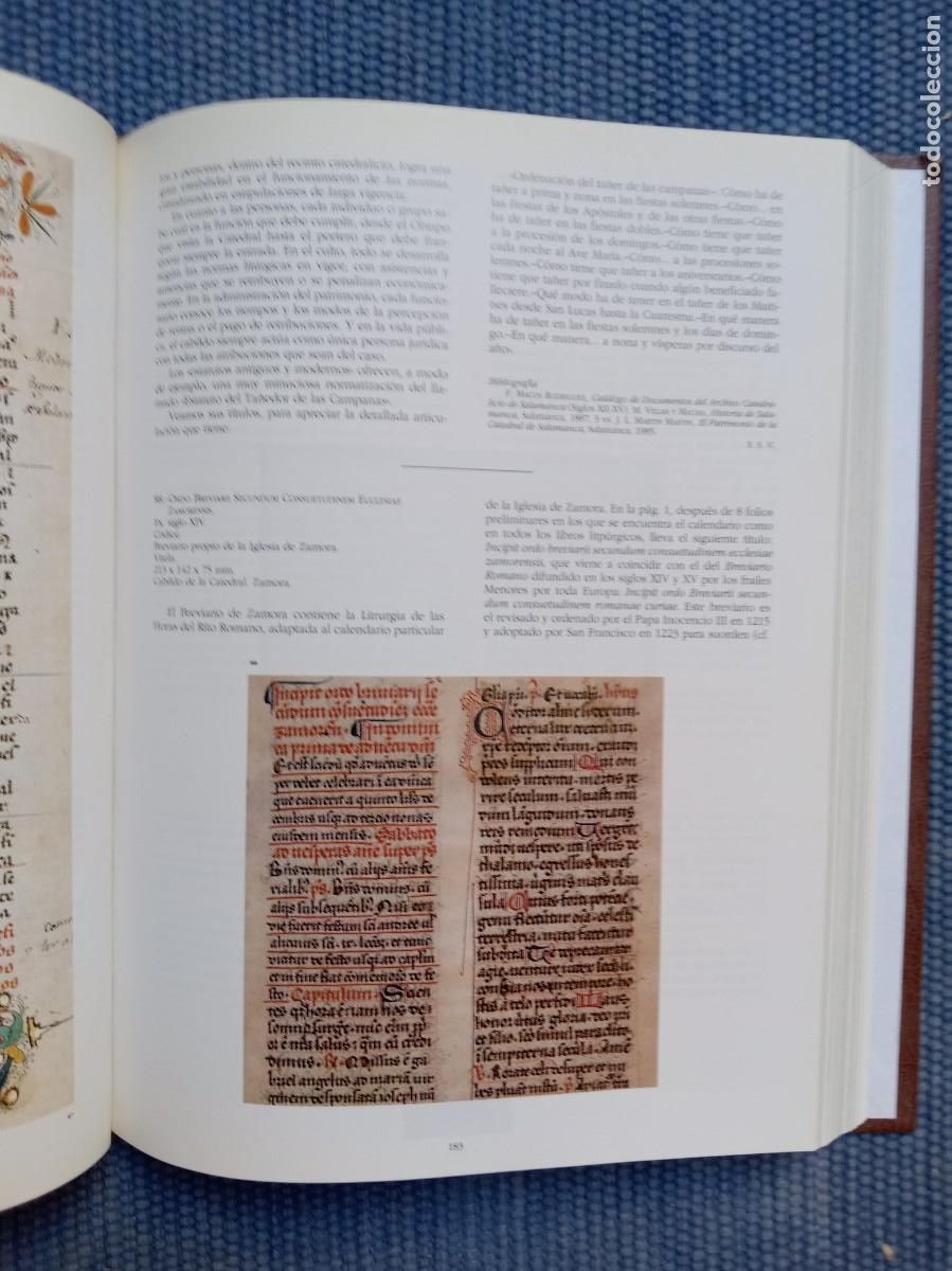 Libros de segunda mano: Libros y documentos en la Iglesia de Castilla y Le&oacute;n (Las edades del hombre) - Foto 3