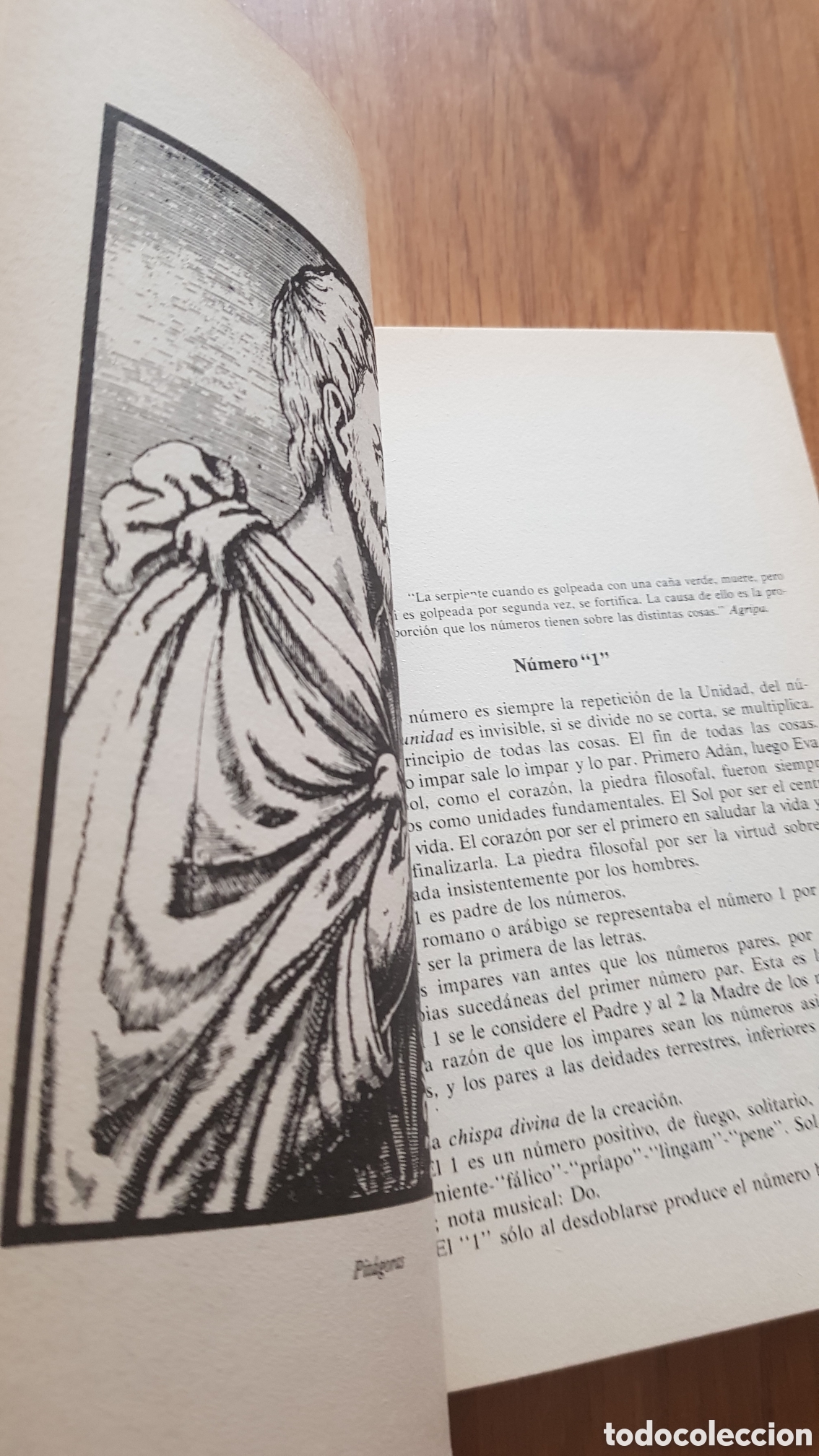 Libros de segunda mano: Ciclos y biorritmos numerologicos. Lester - Foto 4