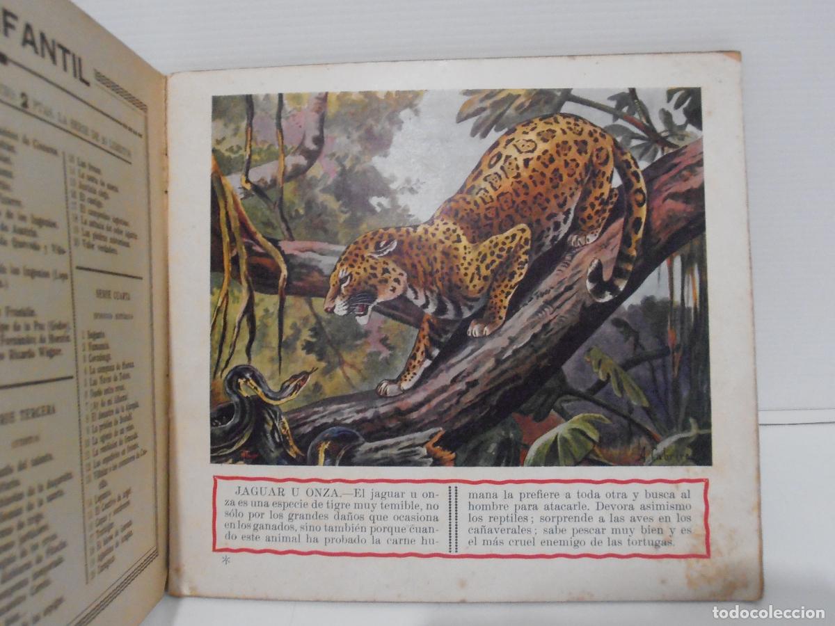 Libros de segunda mano: LIBRO ANIMALES SALVAJES 3, RAMON SOPENA, BARCELONA - Foto 3