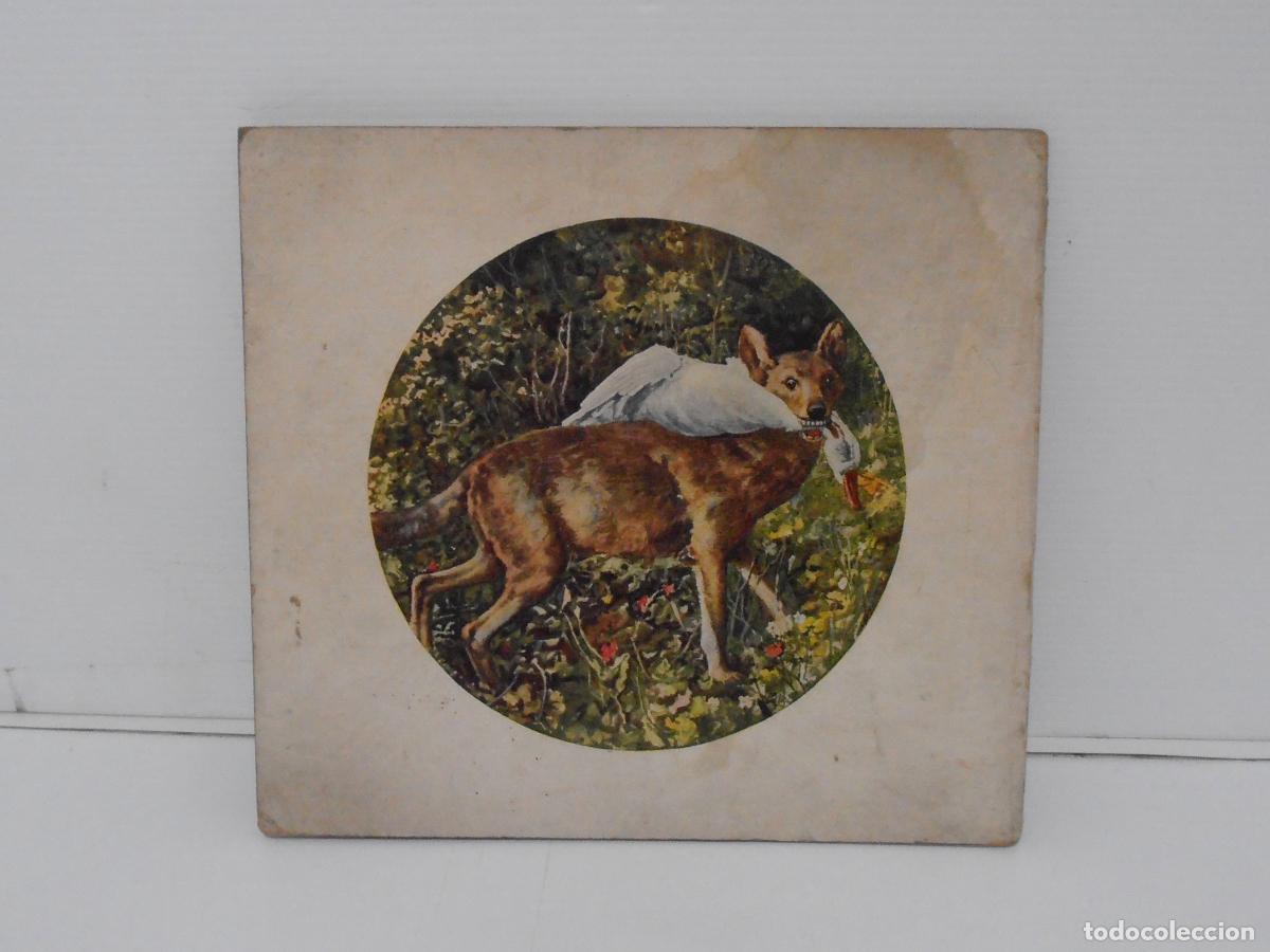 Libros de segunda mano: LIBRO ANIMALES SALVAJES 3, RAMON SOPENA, BARCELONA - Foto 5