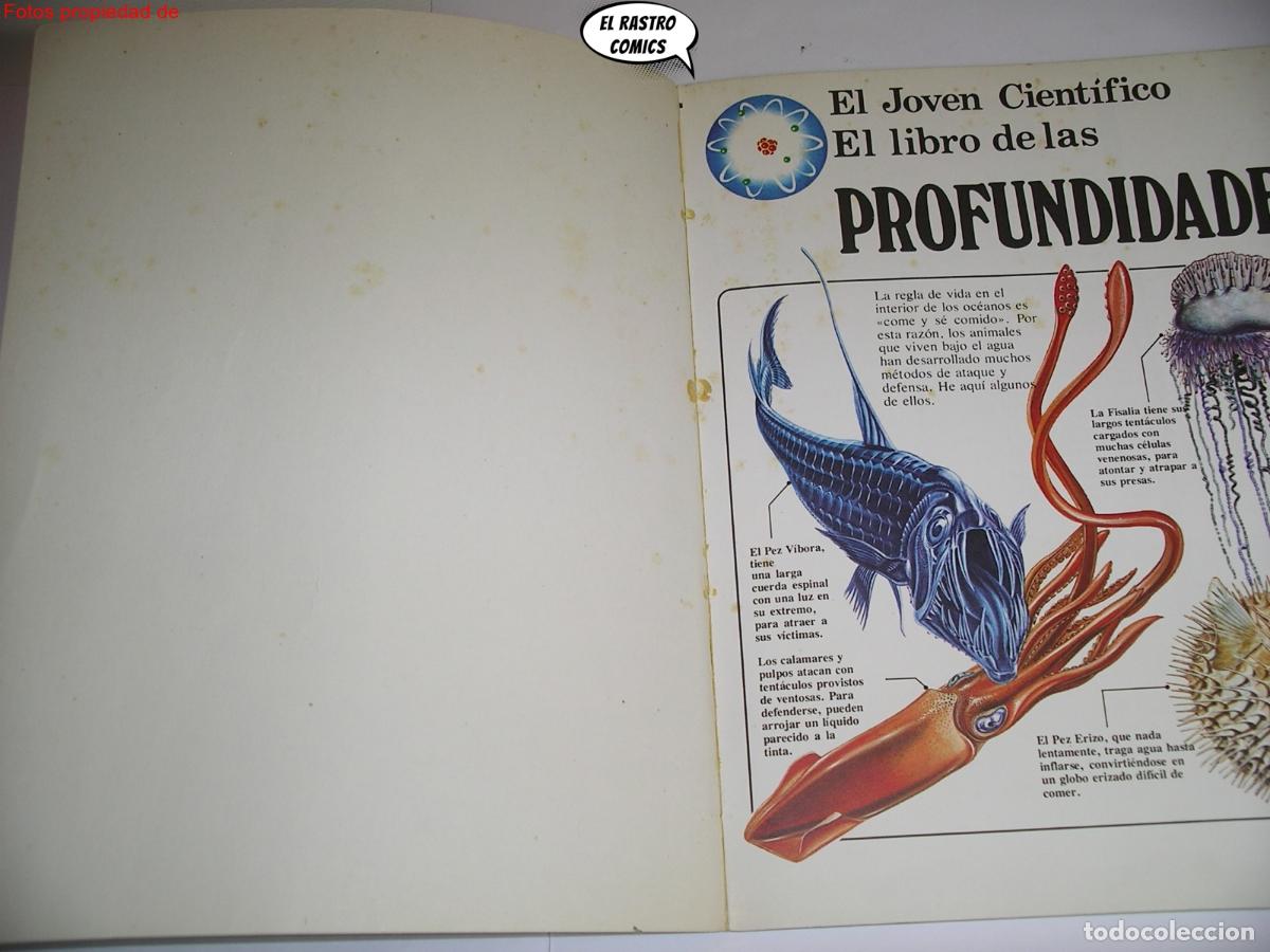 Libros de segunda mano: El libro de las profundidades, El joven cientifico, ed. Plesa / SM a&ntilde;o 1978, A7 - Foto 4