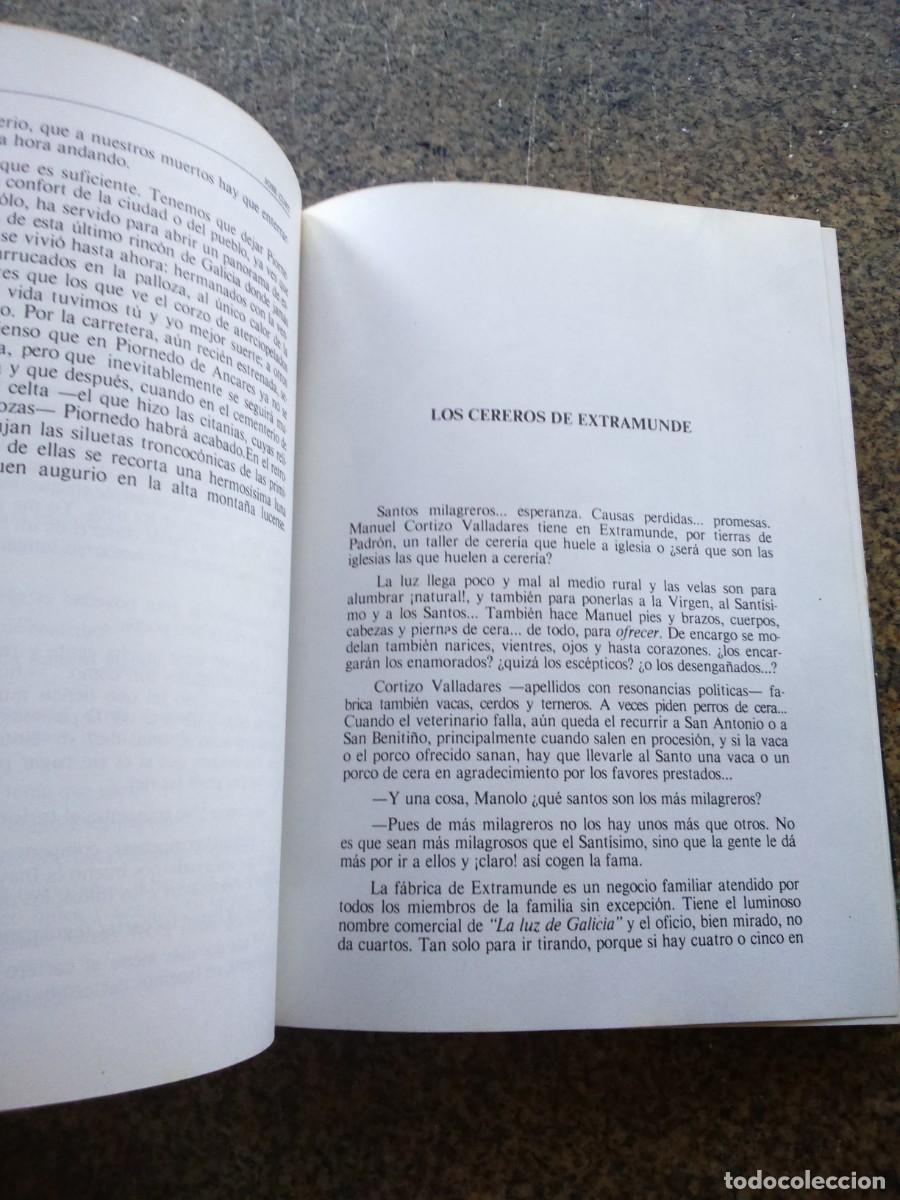Libros de segunda mano: 31 GALLEGOS Y PICO -- JOSE CURT -- 1981 -- - Foto 2