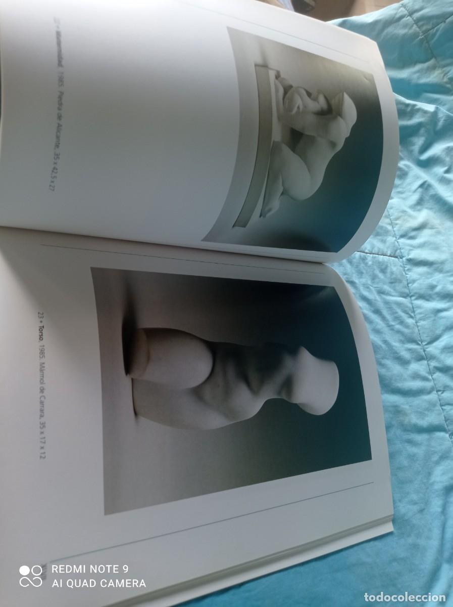 Libros de segunda mano: ESCULTURAS / MANUEL ARCON / 1990 / ZARAGOZA / GRAVOL 46 - Foto 11