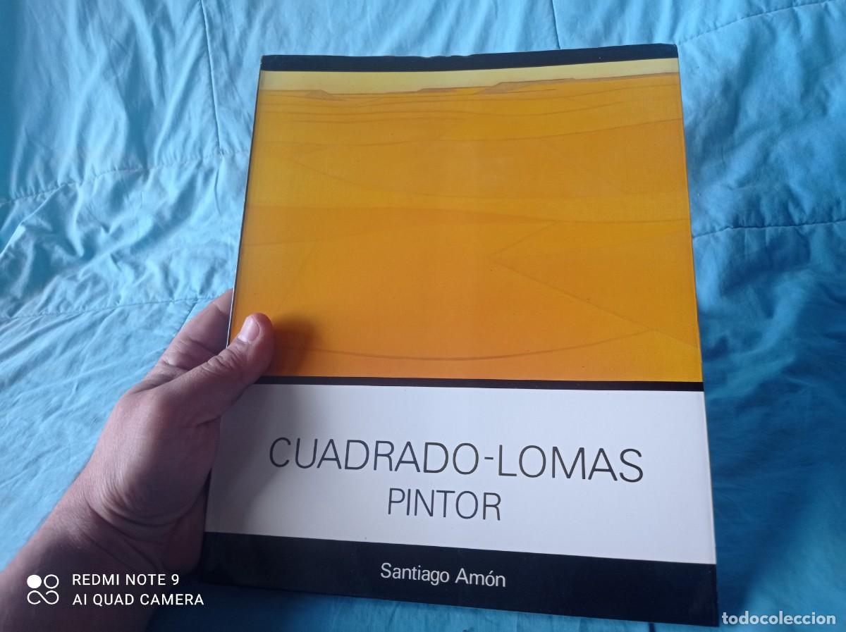 Libros de segunda mano: CUADRADO LOMAS PINTOR / SANTIAGO AMON / / / GRAVOL 47 - Foto 1