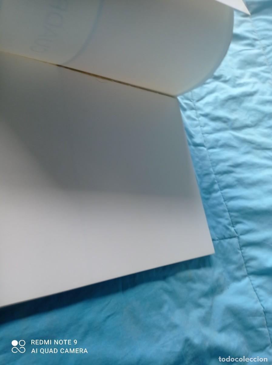 Libros de segunda mano: CUADRADO LOMAS PINTOR / SANTIAGO AMON / / / GRAVOL 47 - Foto 3