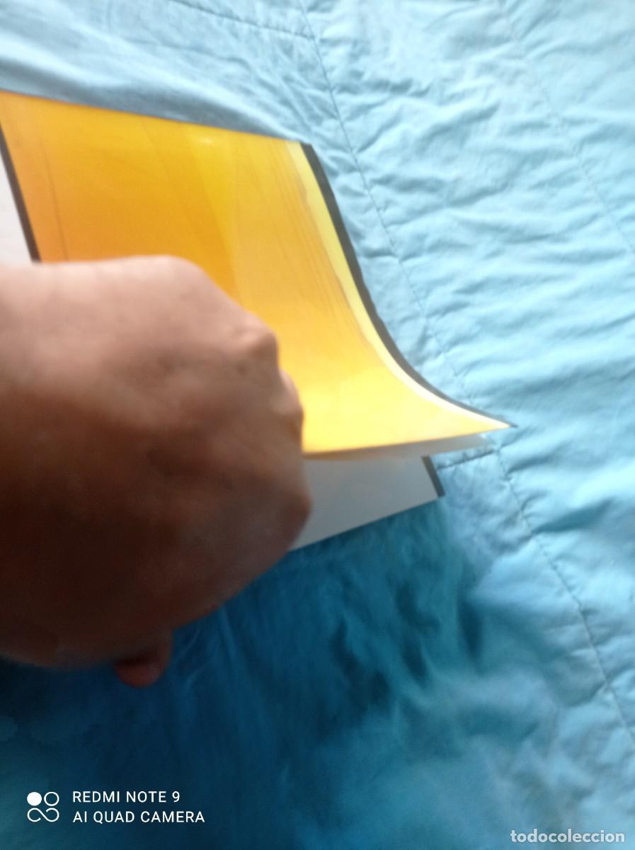 Libros de segunda mano: CUADRADO LOMAS PINTOR / SANTIAGO AMON / / / GRAVOL 47 - Foto 4