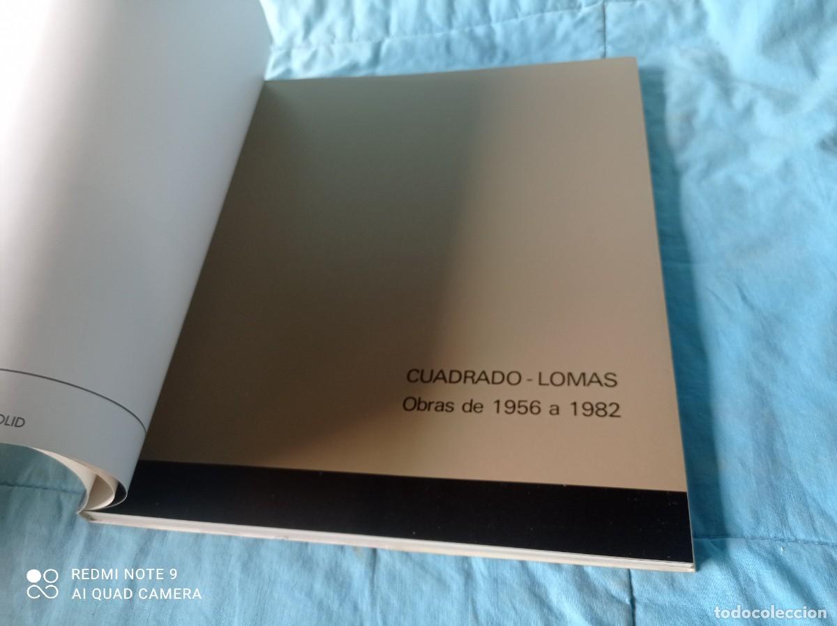 Libros de segunda mano: CUADRADO LOMAS PINTOR / SANTIAGO AMON / / / GRAVOL 47 - Foto 6