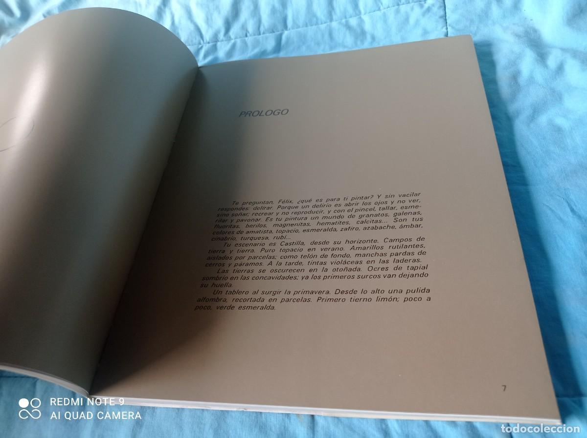 Libros de segunda mano: CUADRADO LOMAS PINTOR / SANTIAGO AMON / / / GRAVOL 47 - Foto 7