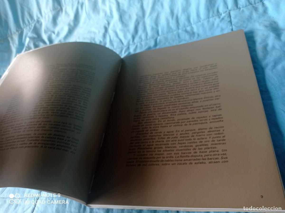Libros de segunda mano: CUADRADO LOMAS PINTOR / SANTIAGO AMON / / / GRAVOL 47 - Foto 8