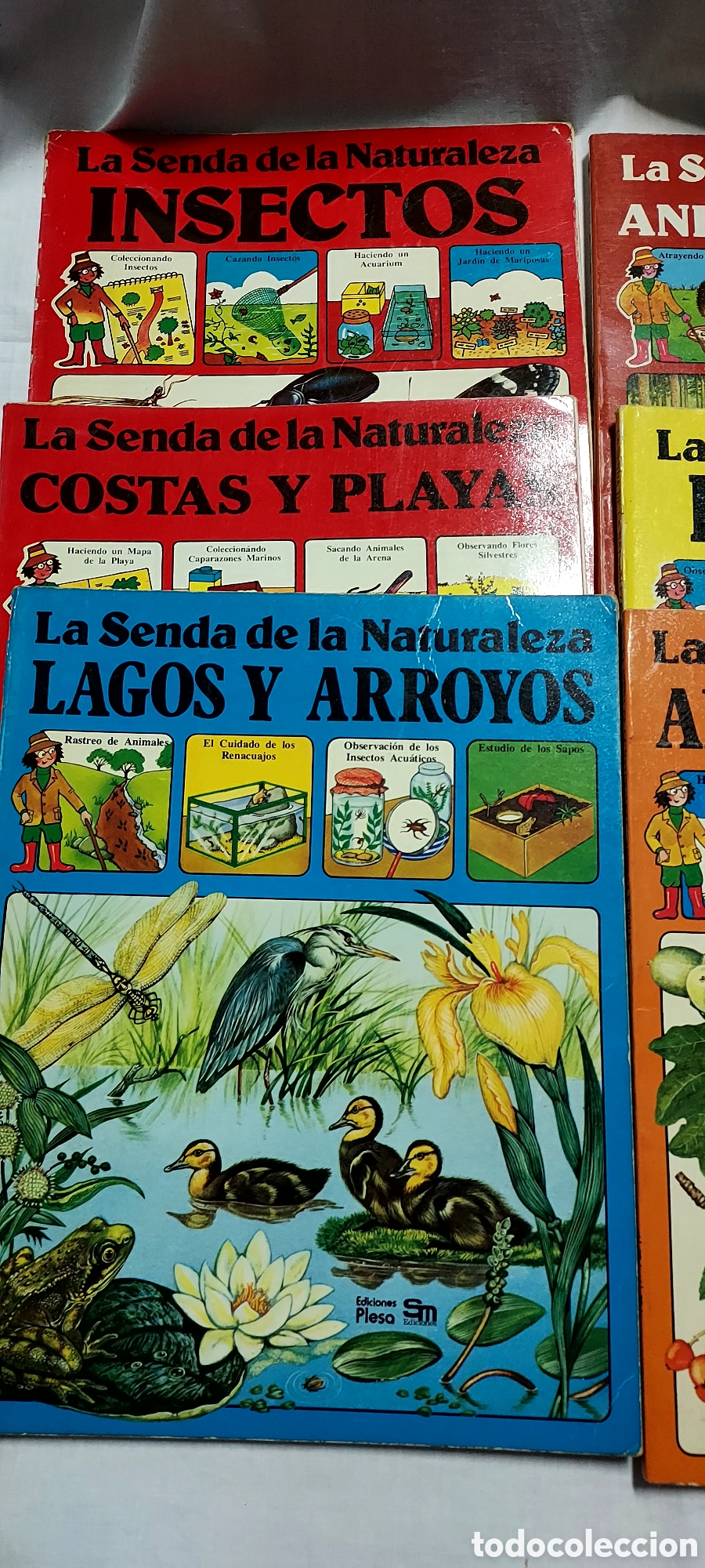 Libros de segunda mano: LA SENDA DE LA NATURALEZA.6 LIBROS.EDICIONES PLESA SM - Foto 2
