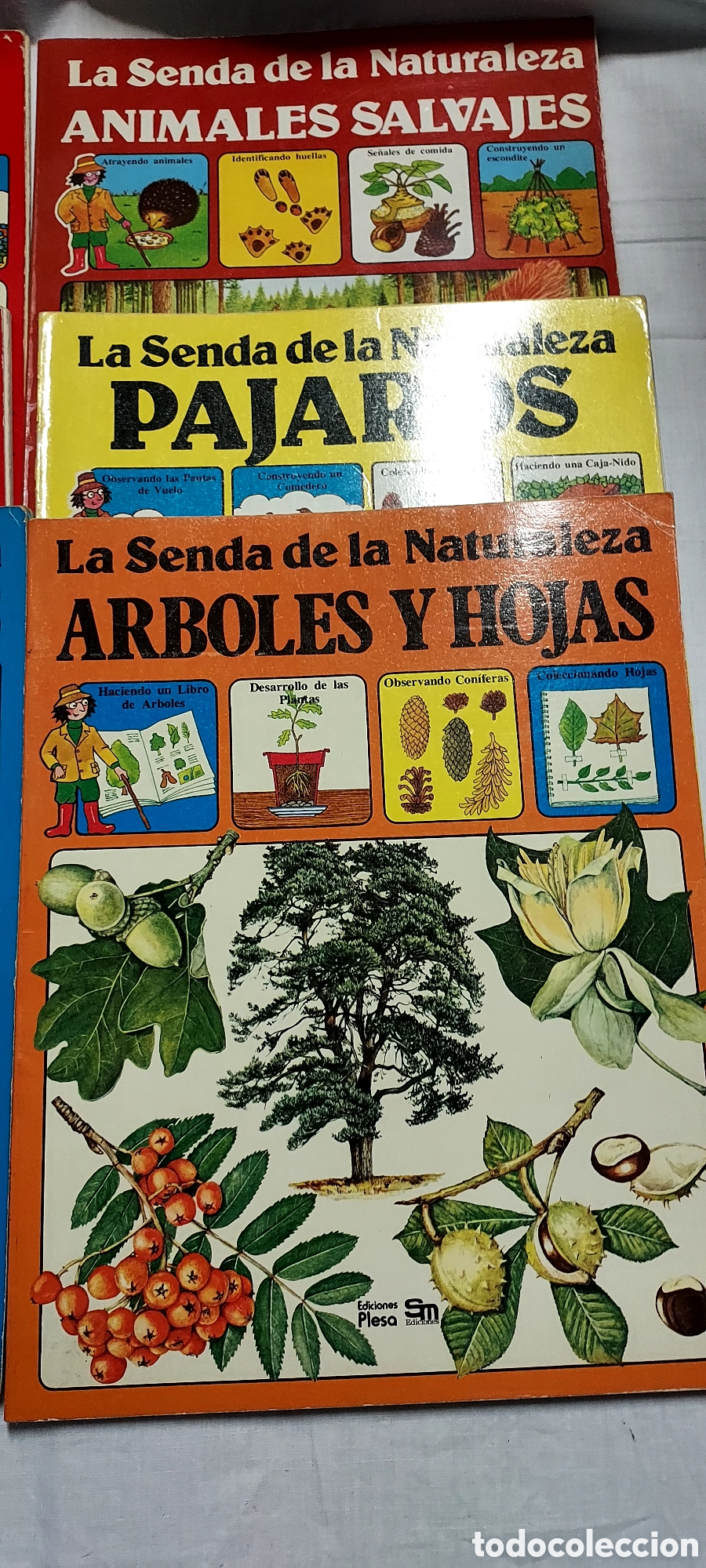 Libros de segunda mano: LA SENDA DE LA NATURALEZA.6 LIBROS.EDICIONES PLESA SM - Foto 3