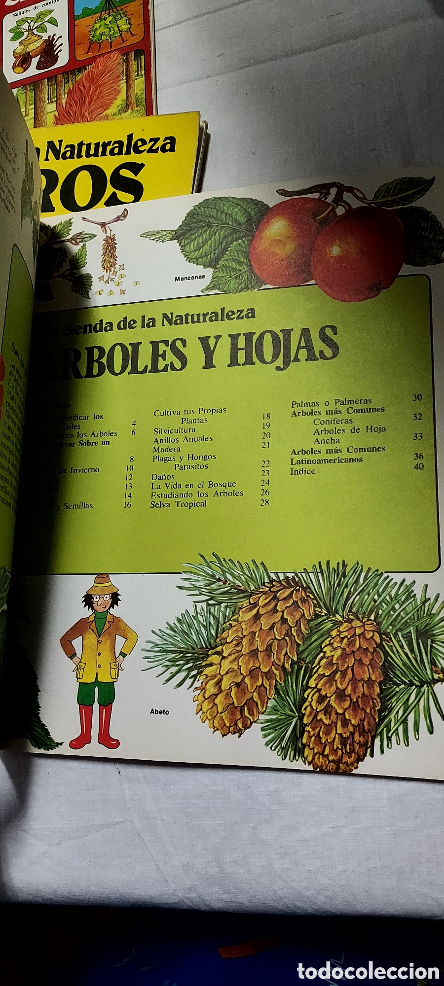 Libros de segunda mano: LA SENDA DE LA NATURALEZA.6 LIBROS.EDICIONES PLESA SM - Foto 5