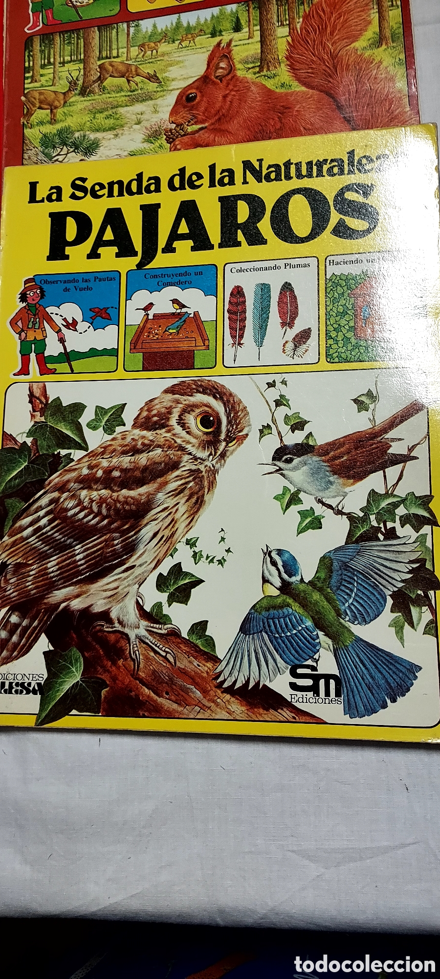 Libros de segunda mano: LA SENDA DE LA NATURALEZA.6 LIBROS.EDICIONES PLESA SM - Foto 6
