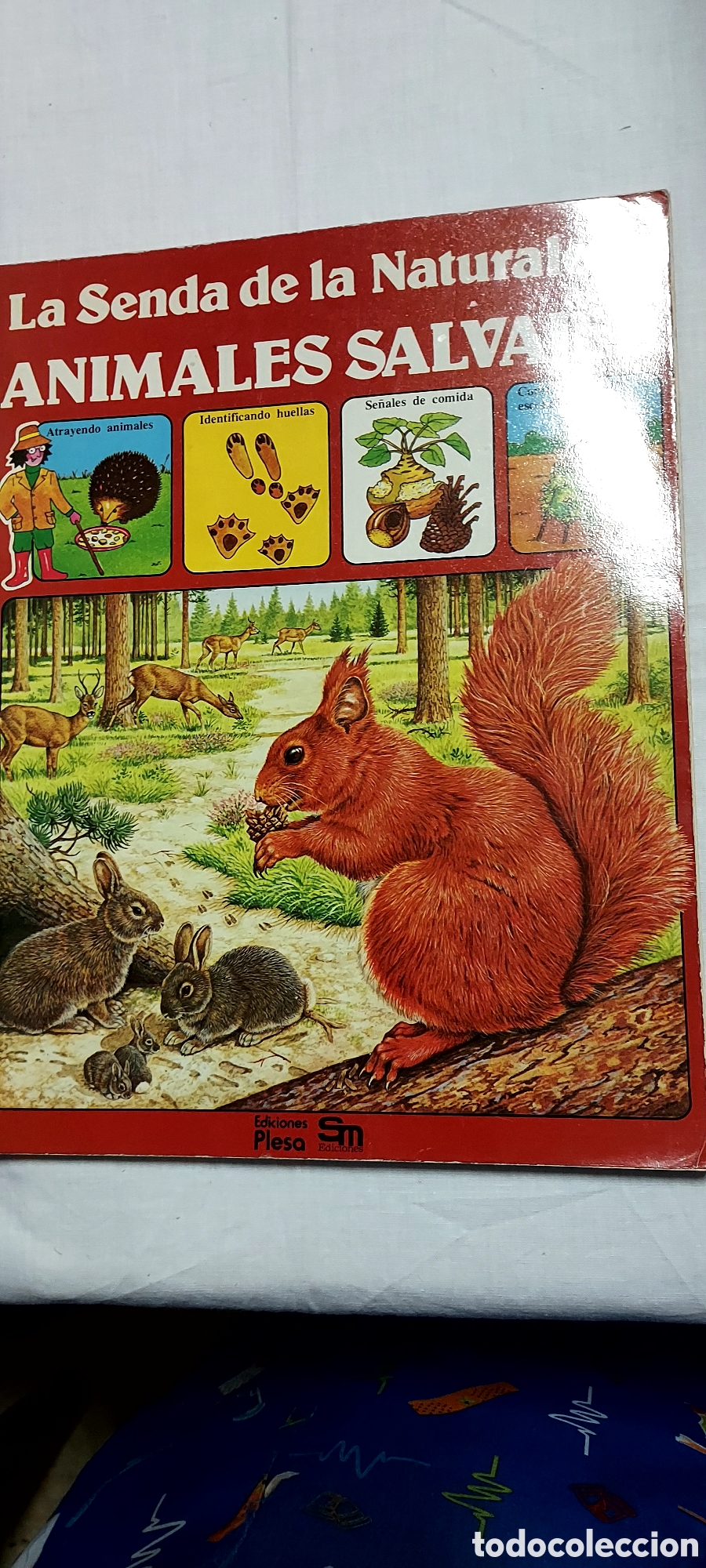 Libros de segunda mano: LA SENDA DE LA NATURALEZA.6 LIBROS.EDICIONES PLESA SM - Foto 9
