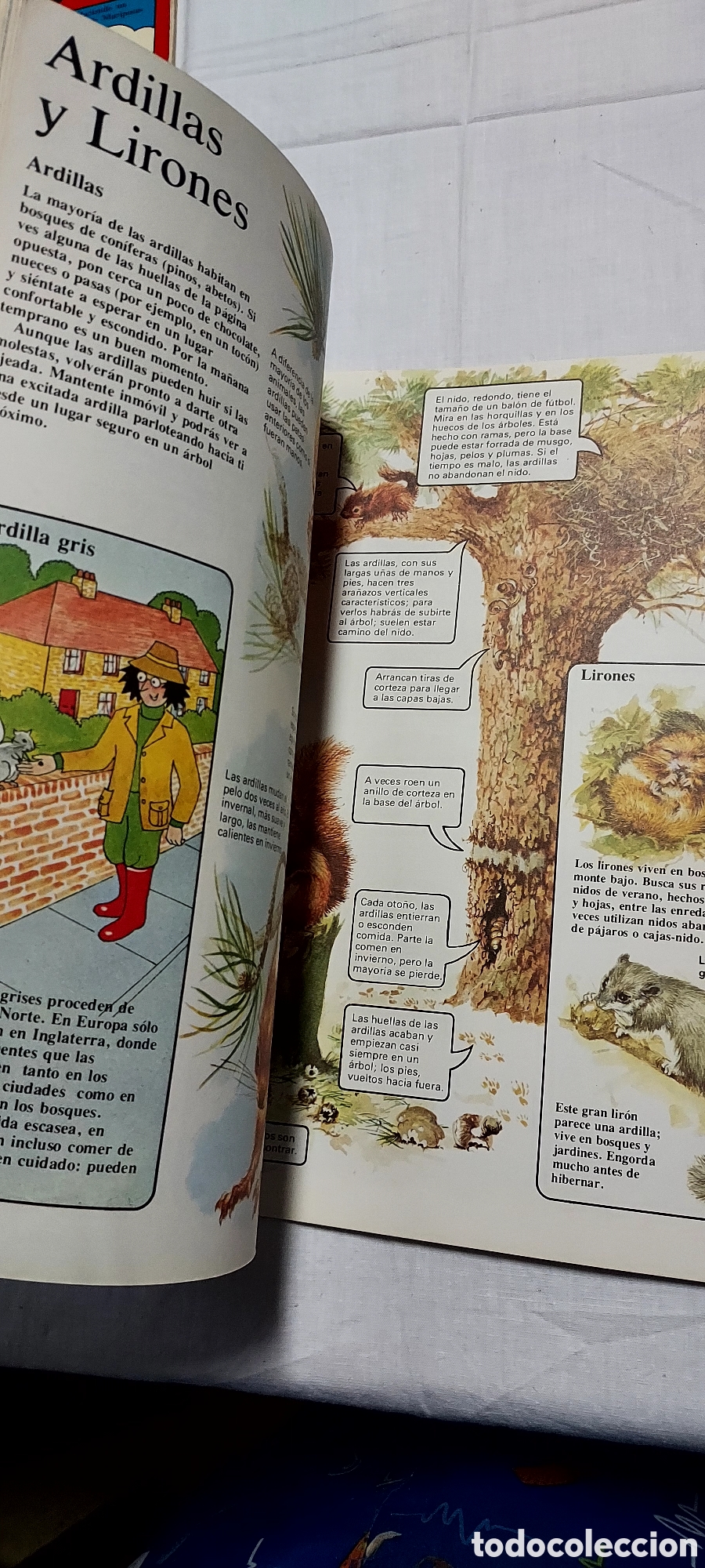 Libros de segunda mano: LA SENDA DE LA NATURALEZA.6 LIBROS.EDICIONES PLESA SM - Foto 11