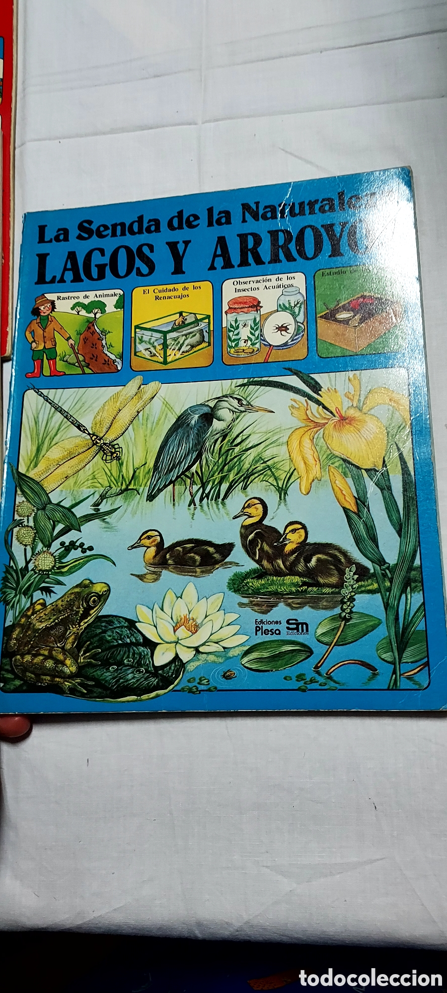Libros de segunda mano: LA SENDA DE LA NATURALEZA.6 LIBROS.EDICIONES PLESA SM - Foto 12