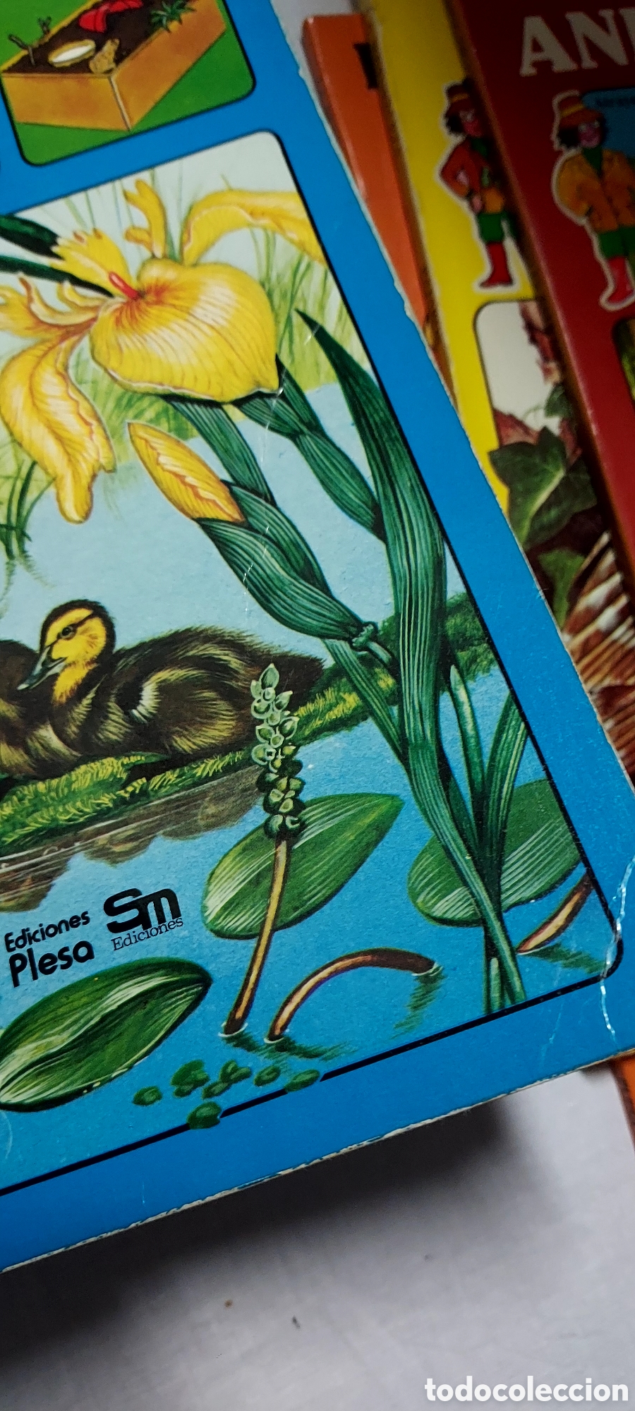 Libros de segunda mano: LA SENDA DE LA NATURALEZA.6 LIBROS.EDICIONES PLESA SM - Foto 15