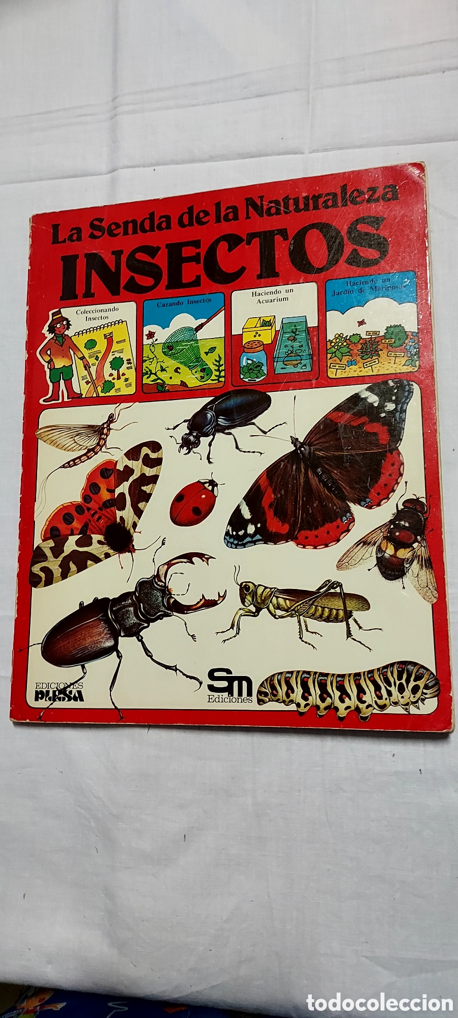 Libros de segunda mano: LA SENDA DE LA NATURALEZA.6 LIBROS.EDICIONES PLESA SM - Foto 18