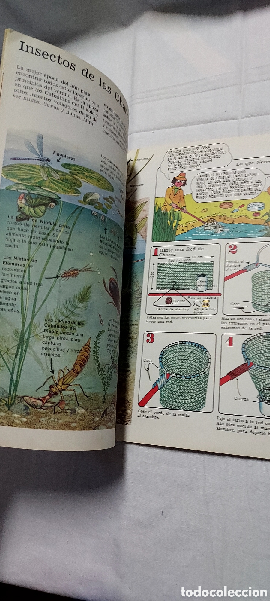 Libros de segunda mano: LA SENDA DE LA NATURALEZA.6 LIBROS.EDICIONES PLESA SM - Foto 20