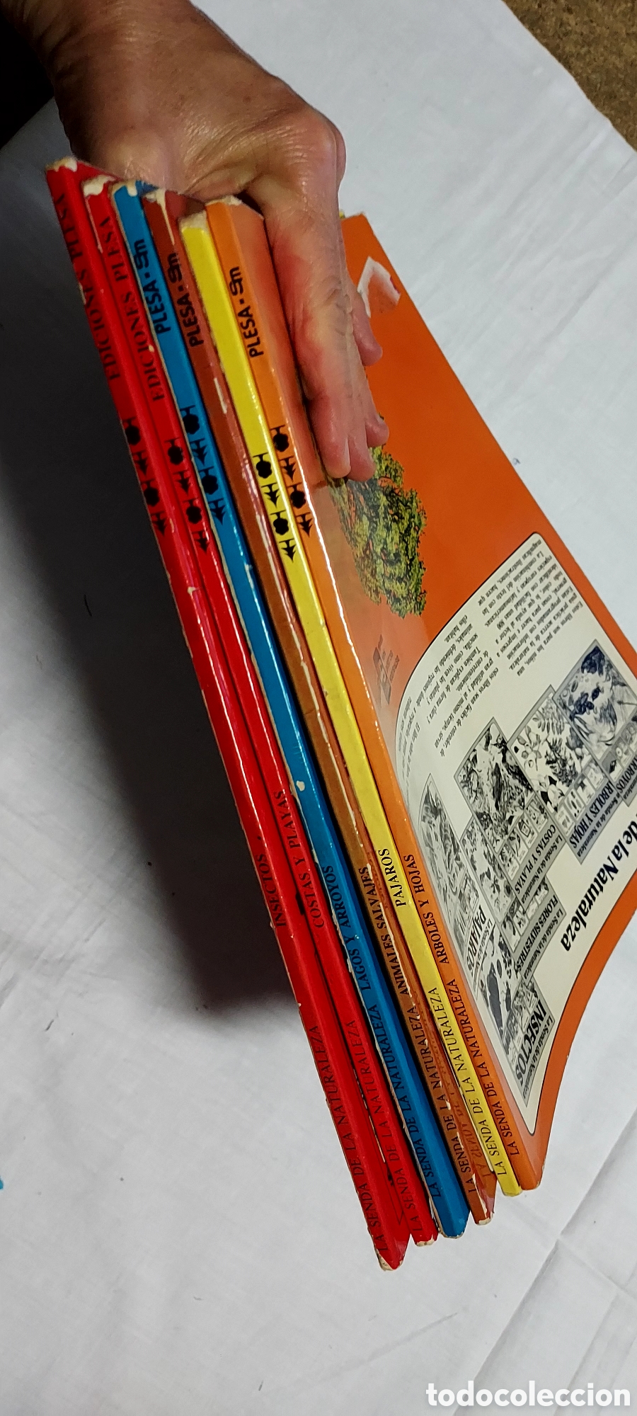 Libros de segunda mano: LA SENDA DE LA NATURALEZA.6 LIBROS.EDICIONES PLESA SM - Foto 21
