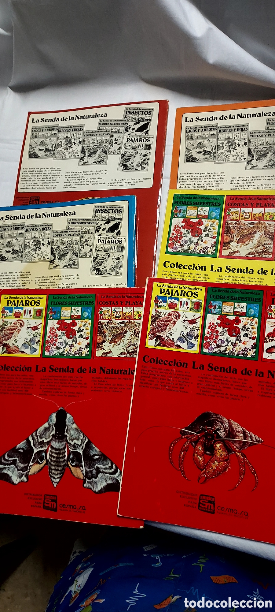 Libros de segunda mano: LA SENDA DE LA NATURALEZA.6 LIBROS.EDICIONES PLESA SM - Foto 22