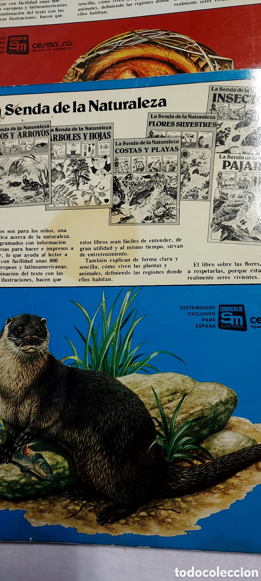 Libros de segunda mano: LA SENDA DE LA NATURALEZA.6 LIBROS.EDICIONES PLESA SM - Foto 23