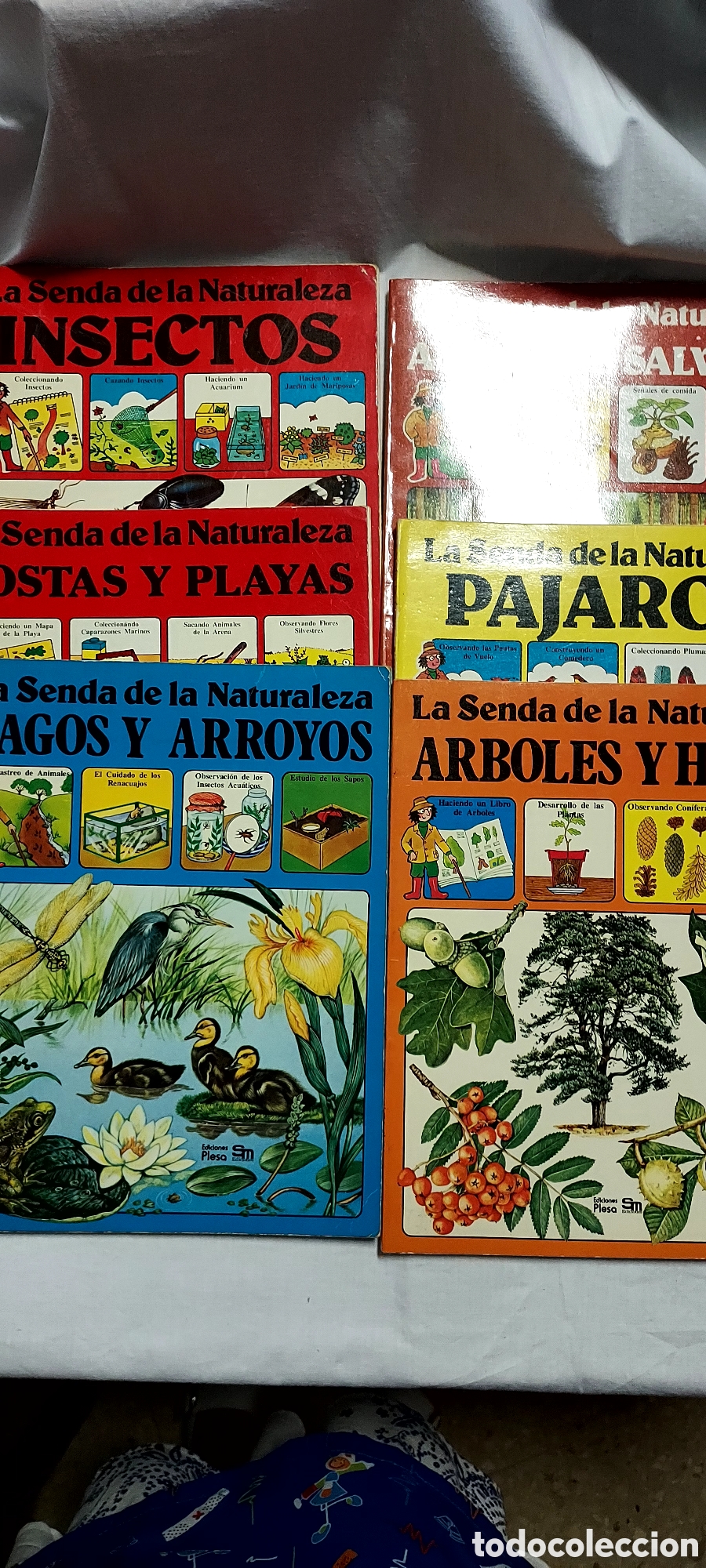 Libros de segunda mano: LA SENDA DE LA NATURALEZA.6 LIBROS.EDICIONES PLESA SM - Foto 1