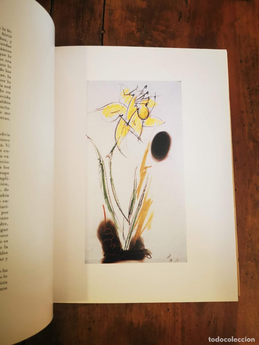 Libros de segunda mano: &Aacute;LVARO DELGADO: Exposici&oacute;n: Palacio de la Merced - Foto 5