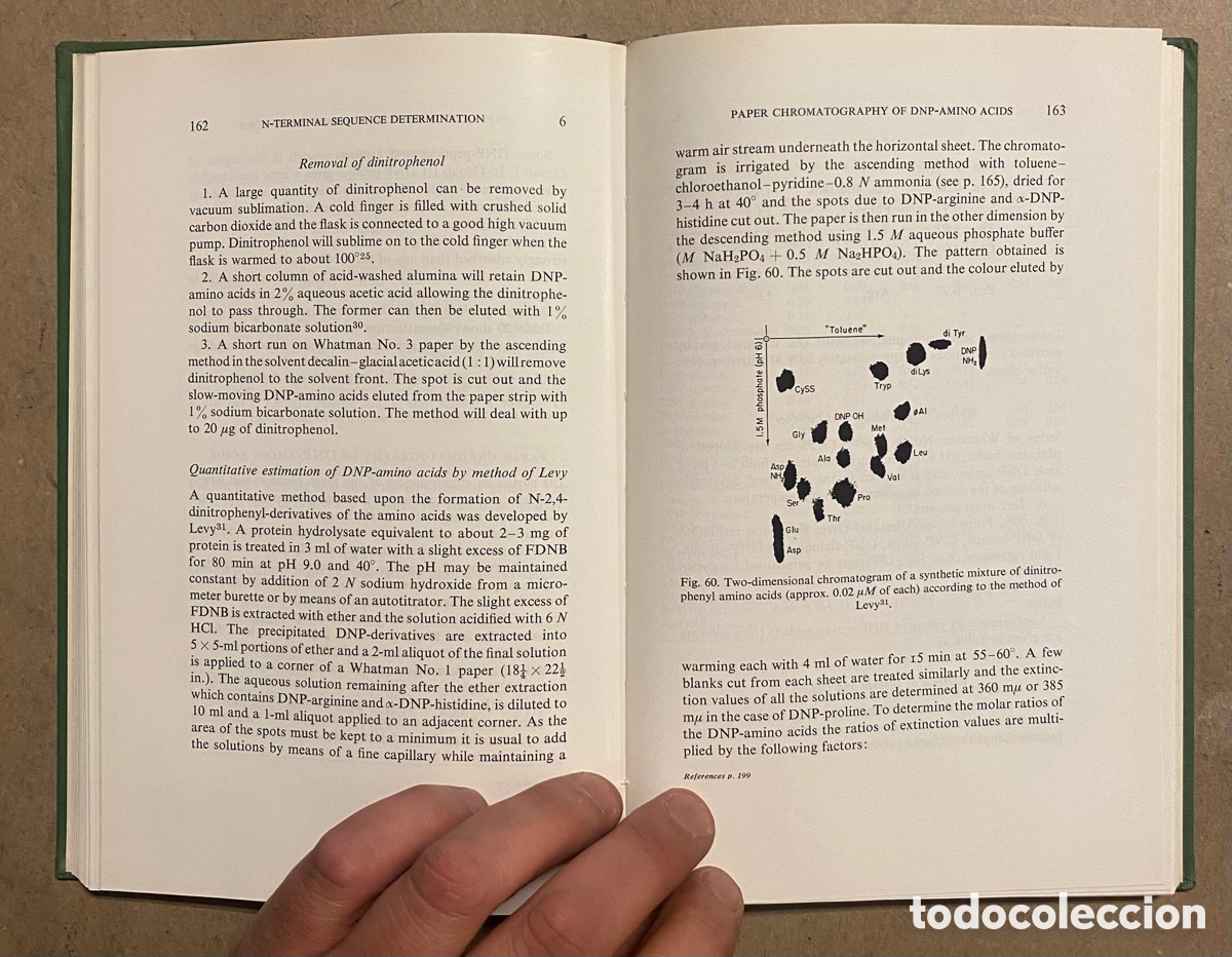 Libros de segunda mano: TECHNIQUES IN PROTEIN CHEMISTRY. J. LEGGETT BAILEY. ELSEVIER PUBLISHING CO. 1962. - Foto 5