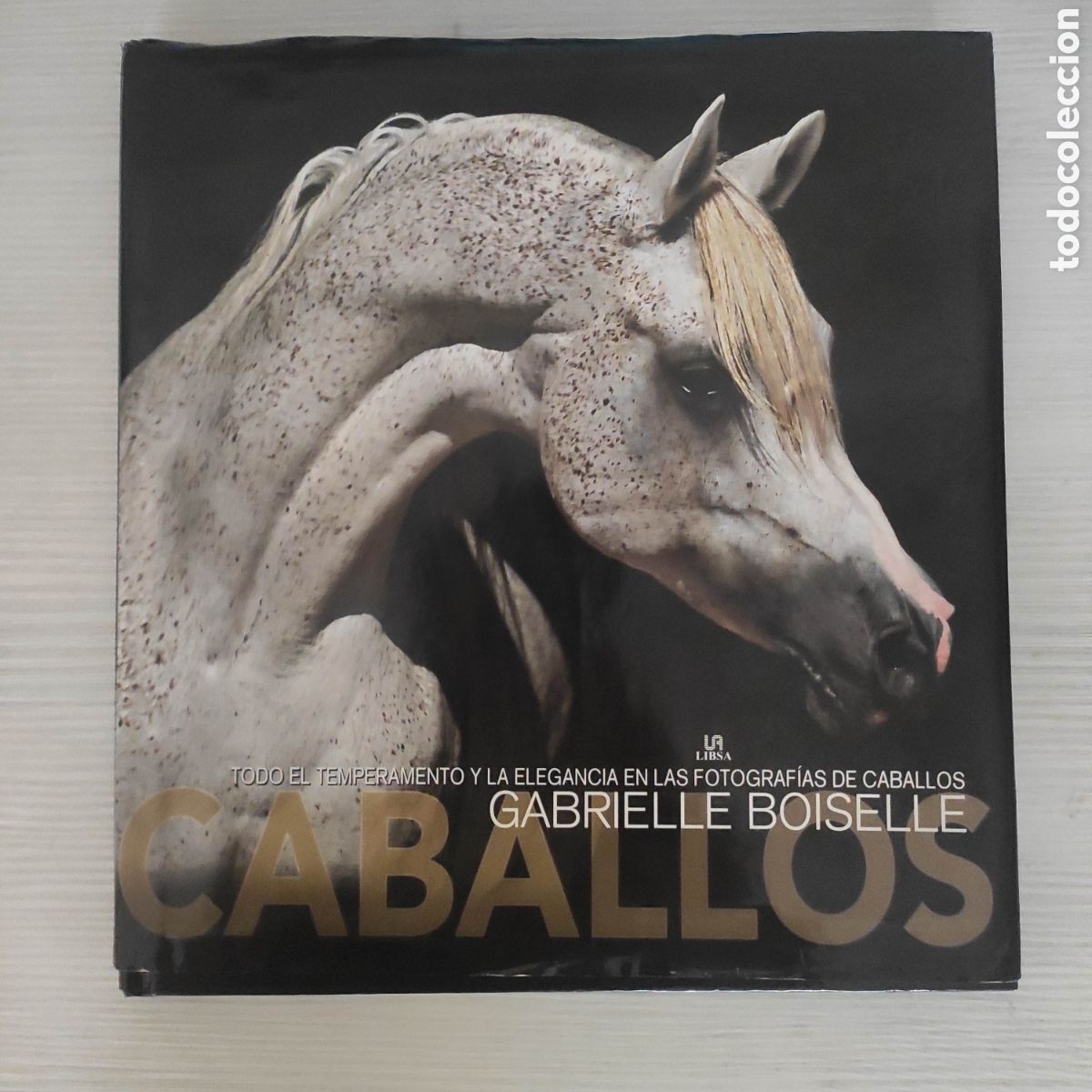 Libros de segunda mano: GABRIELLE BOISELLE CABALLOS - Foto 1