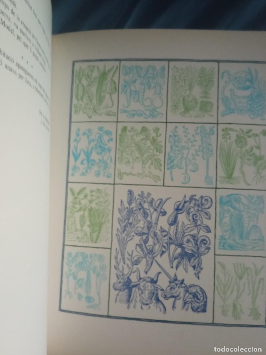 Libros de segunda mano: Pujols per Dal&iacute; 1974 Ed. Ariel - Foto 3