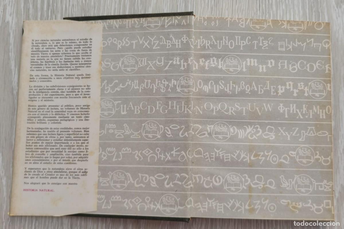 Libros de segunda mano: Libro. Historia Natural. A&ntilde;o 1974. Editorial Sopena. - Foto 2