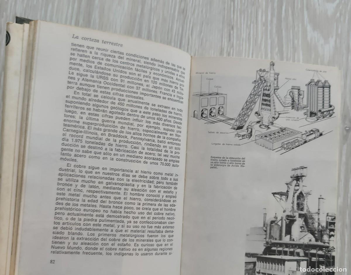 Libros de segunda mano: Libro. Historia Natural. A&ntilde;o 1974. Editorial Sopena. - Foto 5